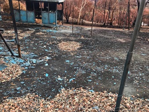 Shattered asbestos sprayed with glue and blue dye