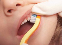 Toddler having her upper teeth brushed by an adult